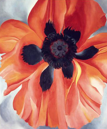 Red Poppy, No. VI, 1928