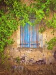 French Blue Shutter 1  Just Wall Decor French Blue Shutter