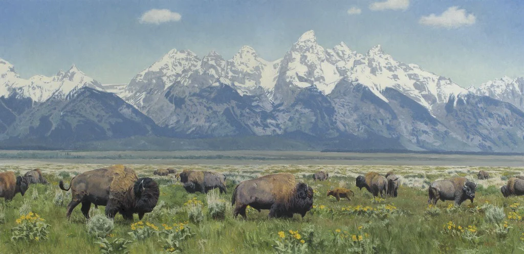 A Land of Many Riches