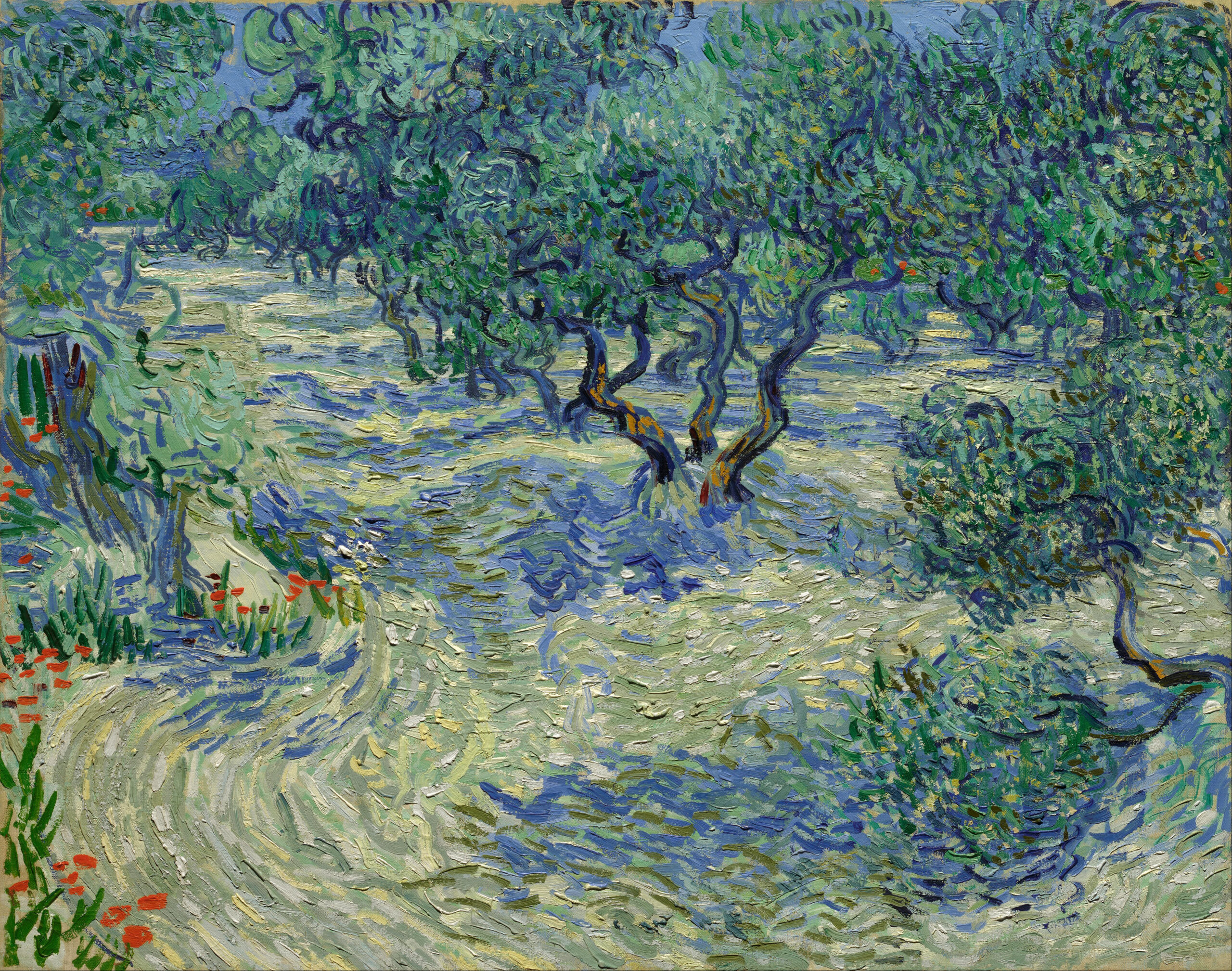 Olive Orchard, 1889