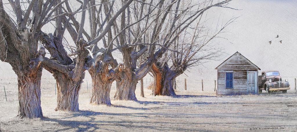 Cottonwood and Pickup