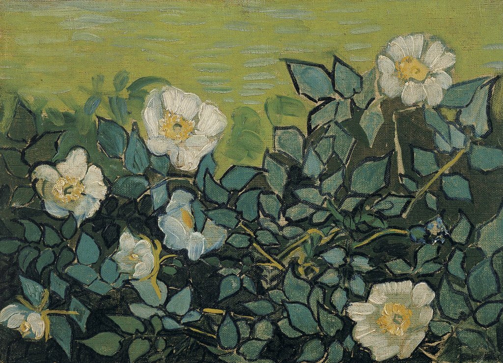 Wild Roses, 1890
