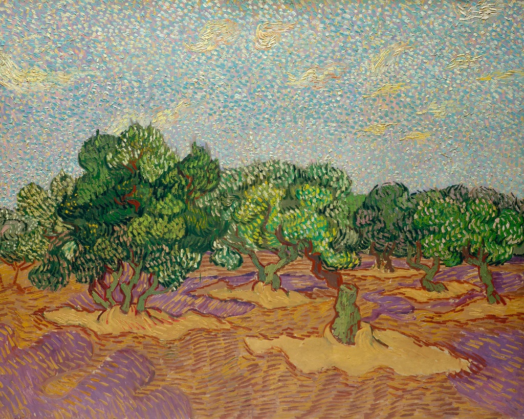 Olive Trees 1889