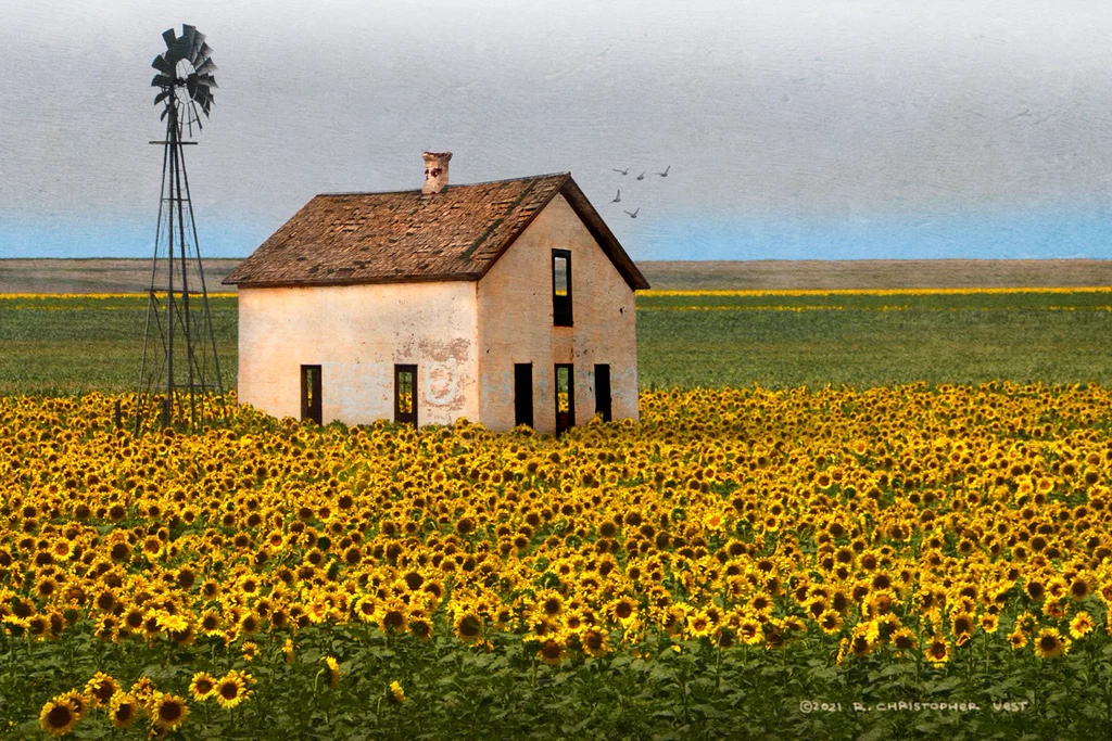White House with Sunflowers