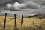 Siskiyou County Landscape 1 Just Wall Decor Siskiyou County Landscape