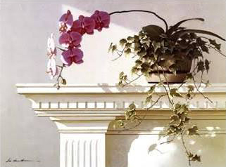 Mantelpiece Orchid