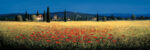 Tuscan Panorama   Poppies