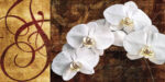 Moonlit Orchids 1  Just Wall Decor Moonlit Orchids
