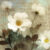 Anemone I 1  Just Wall Decor Anemone I
