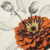 A Touch of Color I 1  Just Wall Decor A Touch of Color I