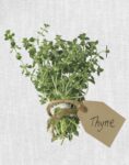 Thyme 1 Just Wall Decor Thyme