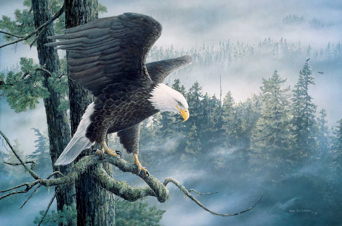 High and Mighty