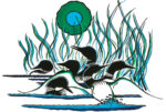 Family of Loons 1 Just Wall Decor Family of Loons