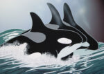 Swell Surge 1  Just Wall Decor Swell Surge
