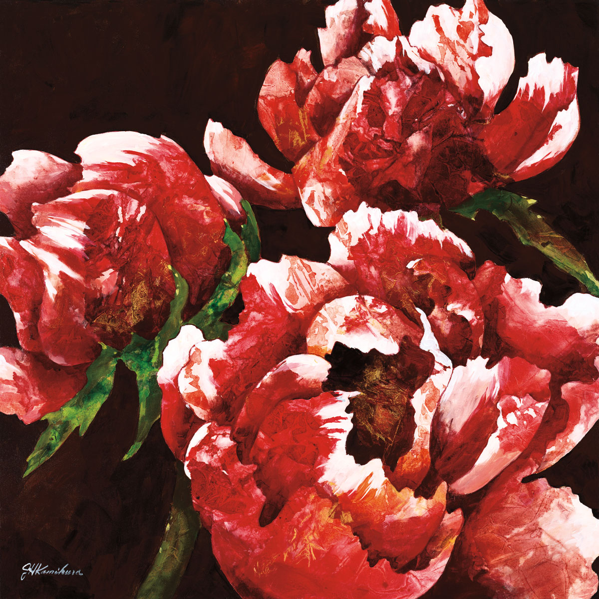 Elegant MaDuetgnolia