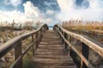 Path To Paradise