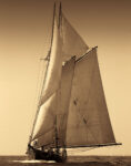 Under Sail I 1 Just Wall Decor Under Sail I