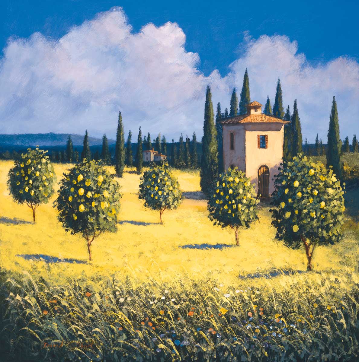 Sun Kissed Orchard I