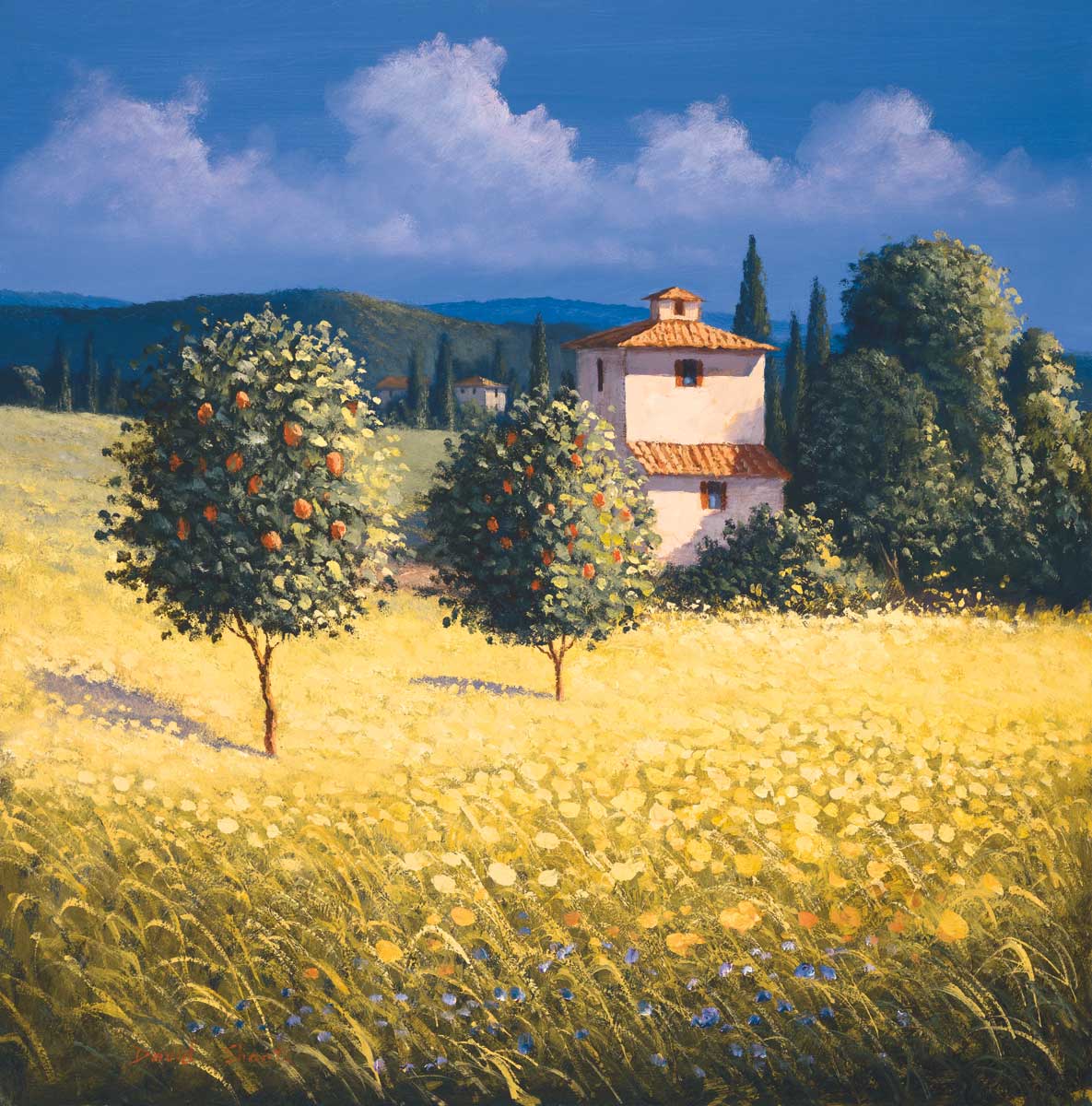 Sun Kissed Orchard II