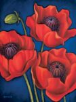 Poppies