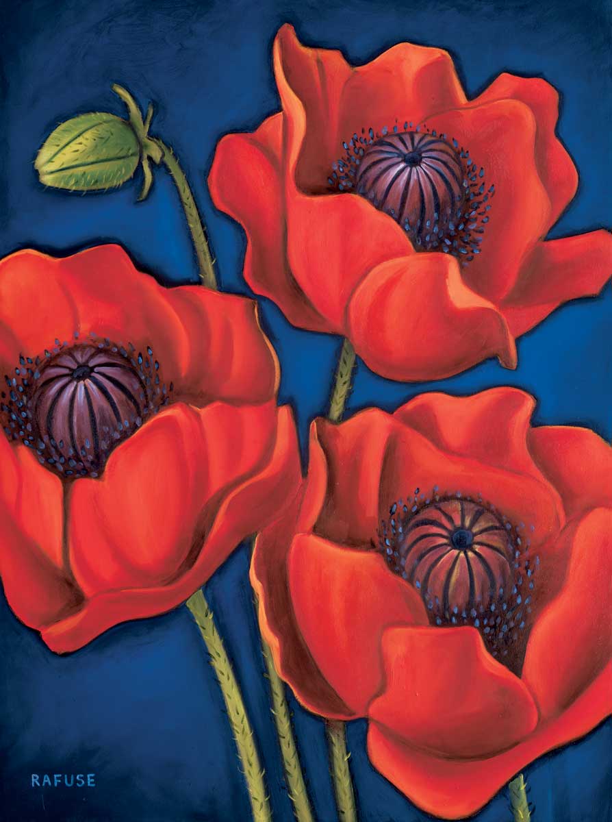 Poppies