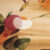 flowers  plants Inspiration I