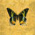 Butterfly On Gold
