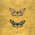 Pair of Butterflies On Gold