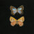 Pair of Butterflies On Black