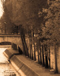 La Bord de La Seine 1  Just Wall Decor La Bord de La Seine