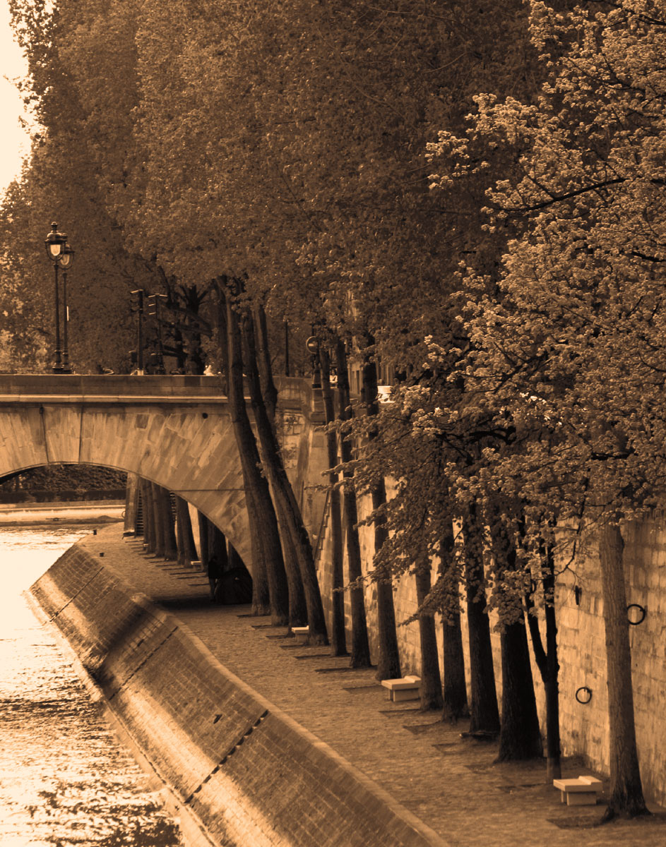 La Bord de La Seine