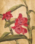 Hawaiian Tropics III 1  Just Wall Decor Hawaiian Tropics III