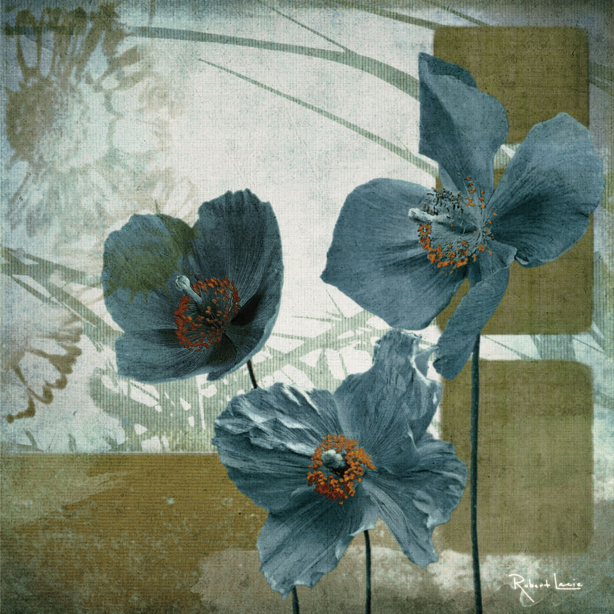 Cerulean Poppies I