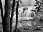 Bond Falls  Trees