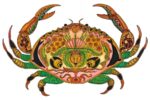 Crab