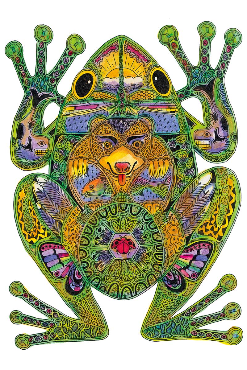 Frog