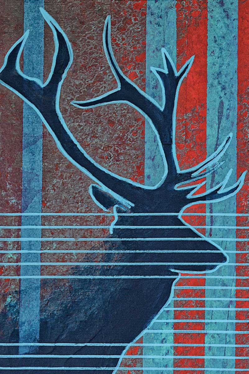 Bull Elk