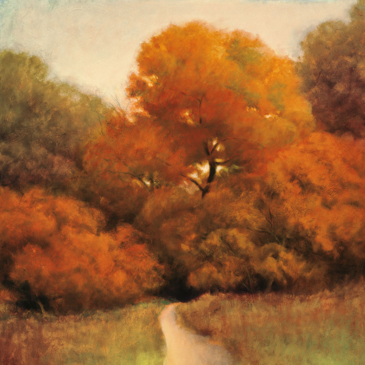 Harmony In Orange and Green