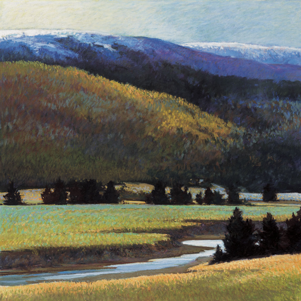 Foothills In Late Spring