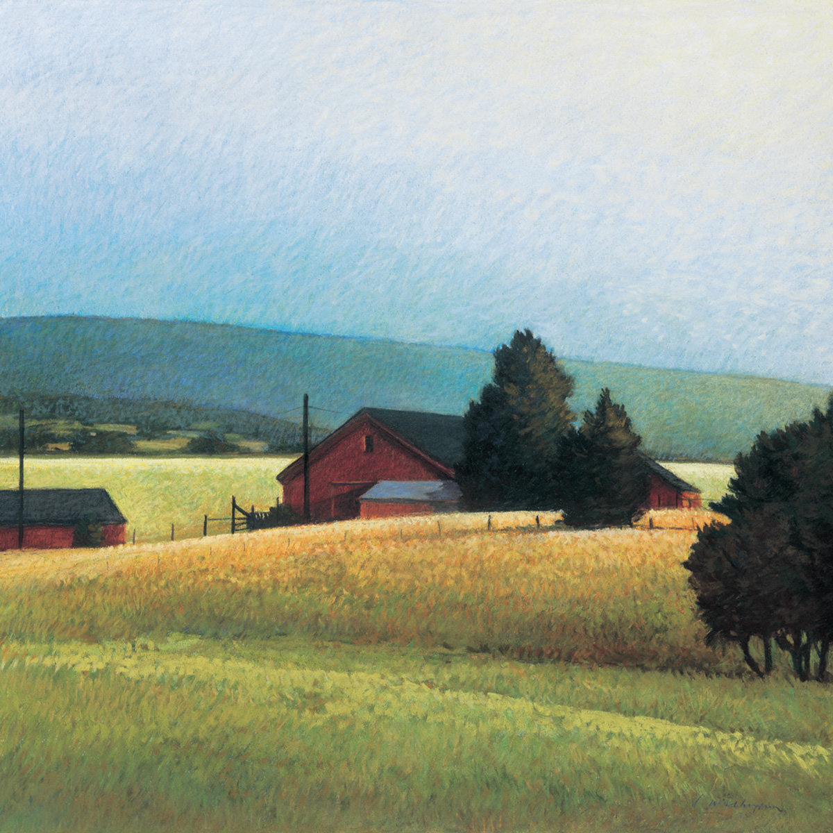 Summer Morning In the Valley