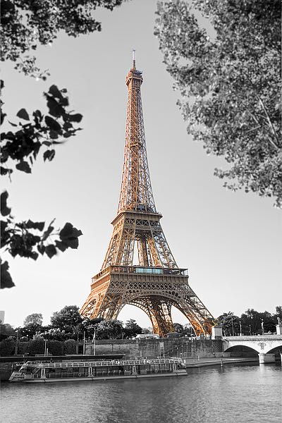 Matin Sur La Seine