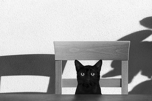 Where Is My Coffee ?