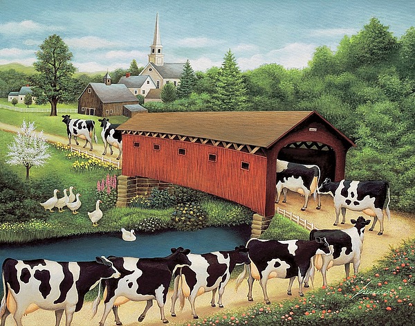 Cows In West Arlington