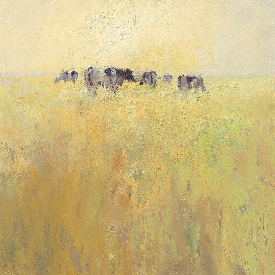 Cows in Spring
