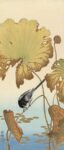 Japanese Wagtail on Lotus Plant 19251936 1 Just Wall Decor Japanese Wagtail on Lotus Plant 1925 1936