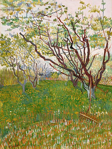 The Flowering Orchard