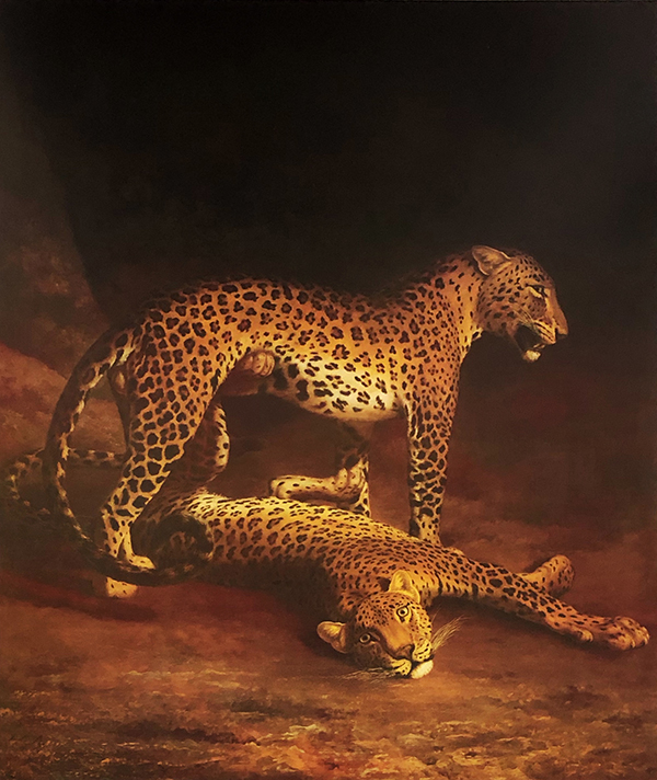 Two Leopards Playing in the Exeter Change Menagerie