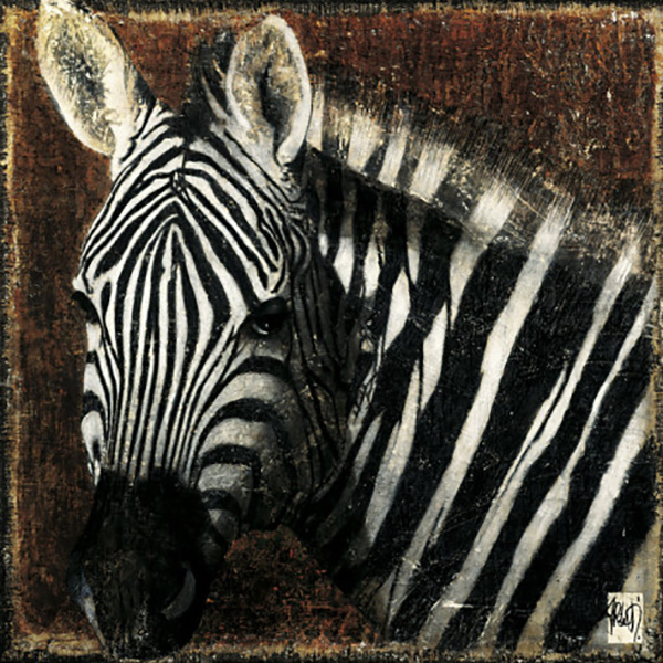 Zebra Portrait 1 Just Wall Decor Zebra Portrait