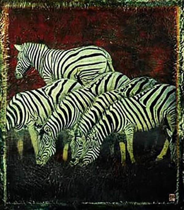 Zebra Herd