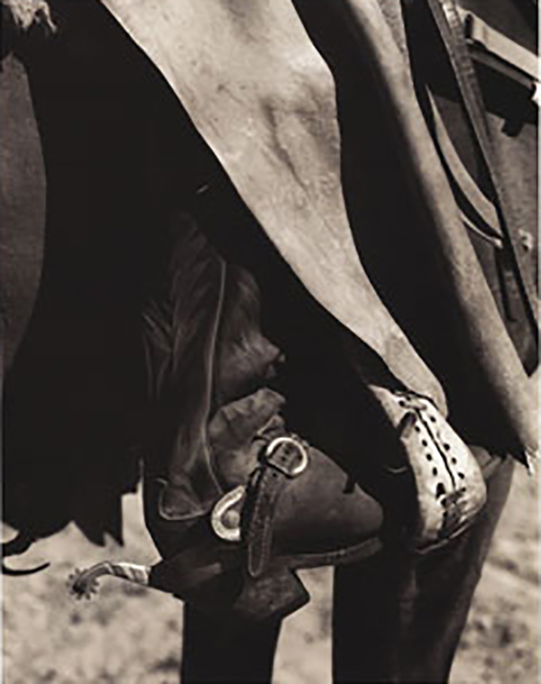 The Circle Y Ranch Collection II